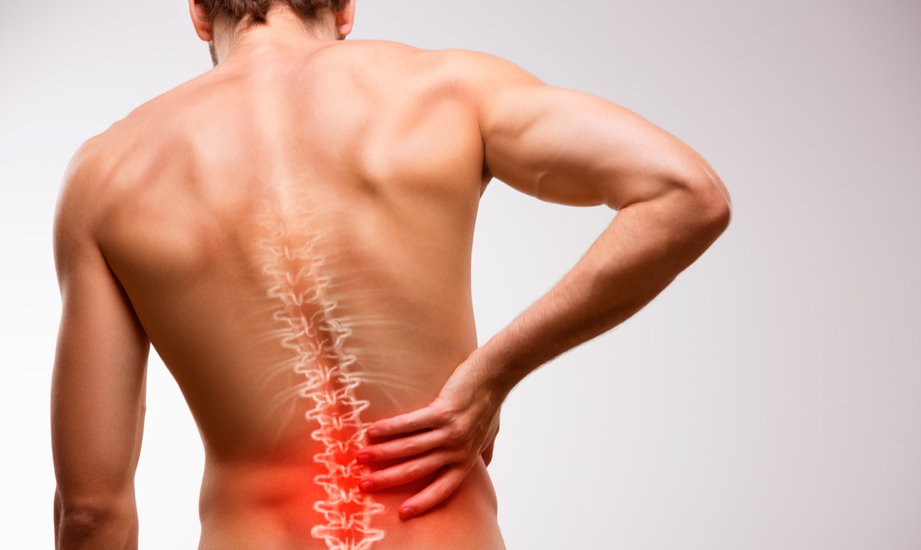 muscular or disc - back pain