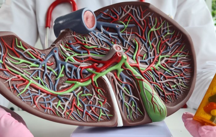 Can Liver Problems Cause Lower Back Pain?